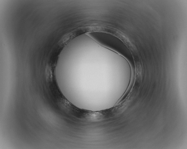 X0000112390333200908131349