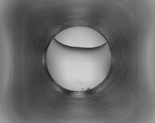 X0000112390335200908131349