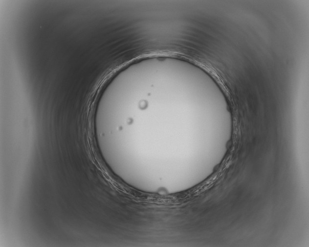 X0000112390337200908131348