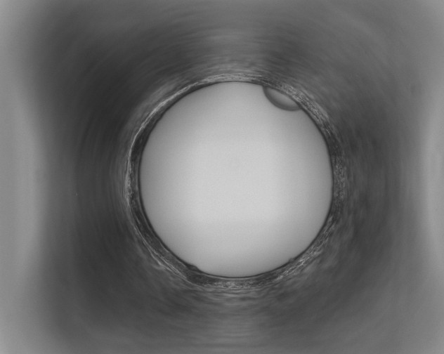 X0000112390338200908131348