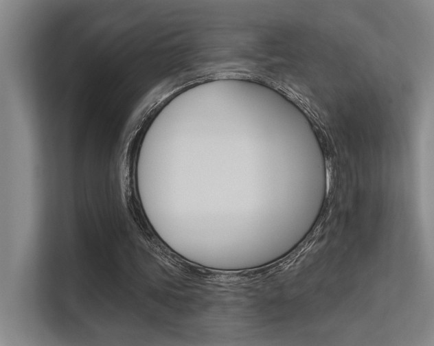 X0000112390339200908131348