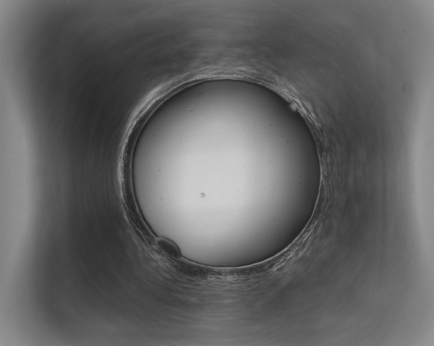 X0000112390340200908131348