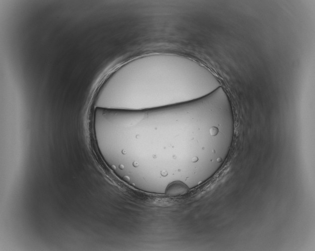 X0000112390341200908131348