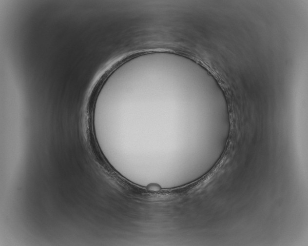 X0000112390342200908131348