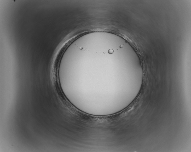 X0000112390343200908131348