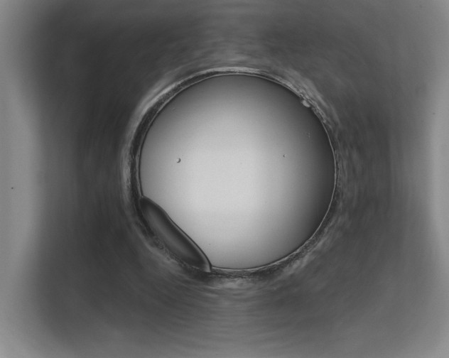 X0000112390344200908131348