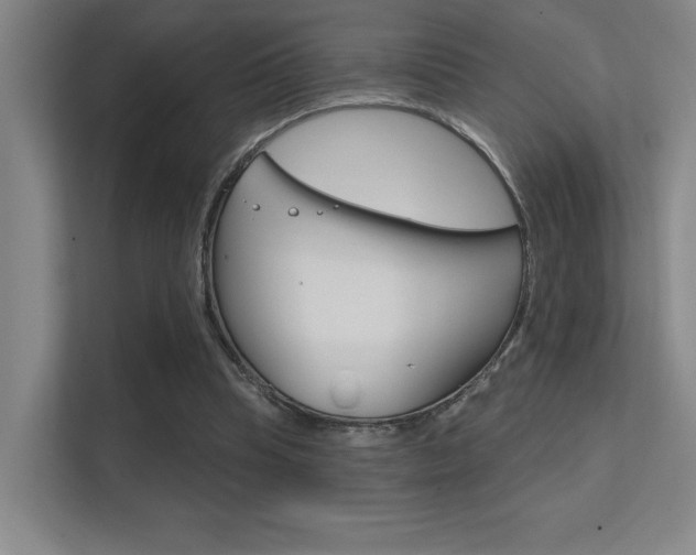 X0000112390345200908131348