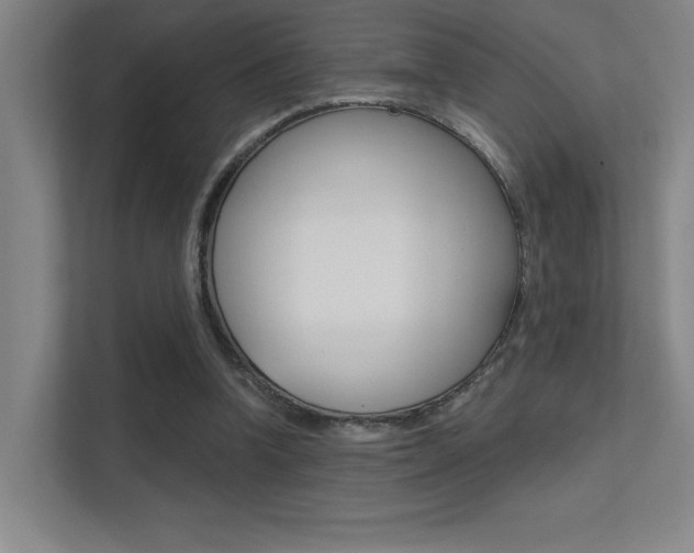 X0000112390346200908131348