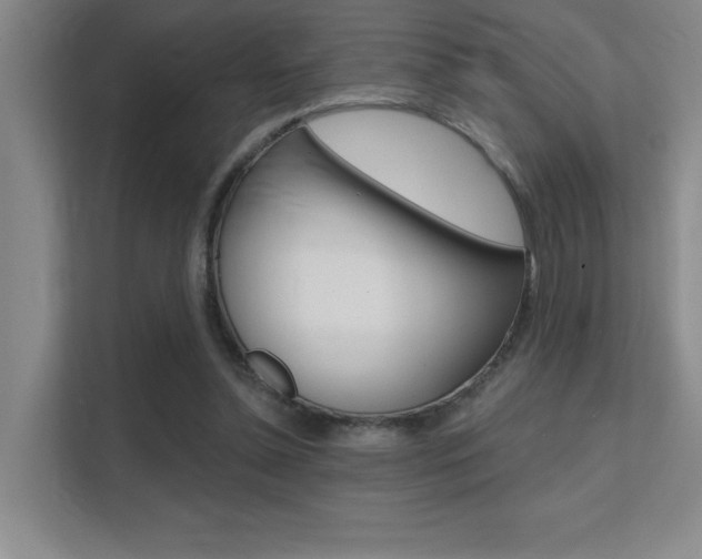 X0000112390348200908131348