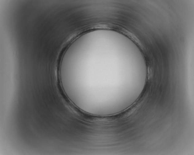 X0000112390349200908131348