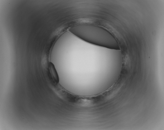 X0000112390352200908131348