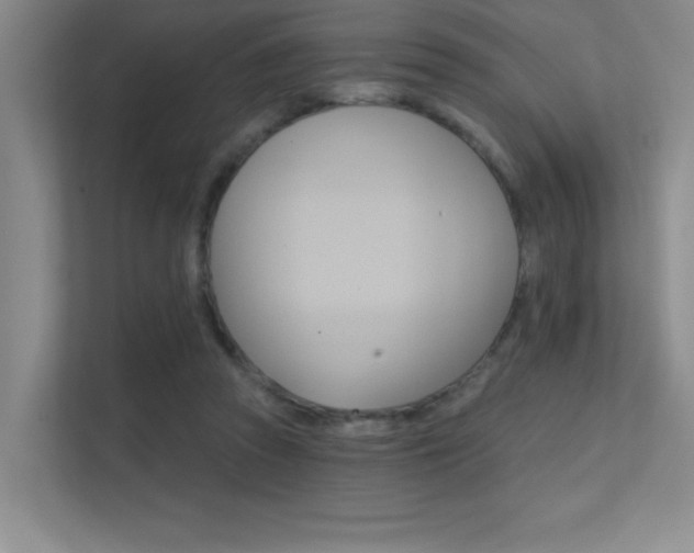 X0000112390353200908131348