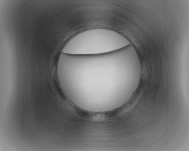 X0000112390355200908131348