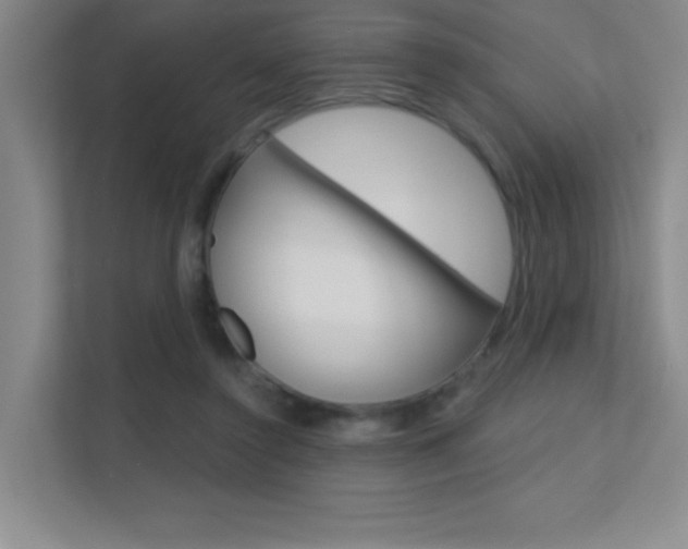 X0000112390356200908131348