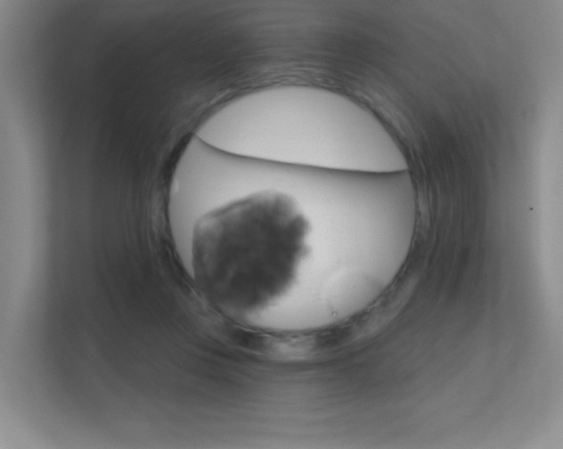 X0000112390359200908131348