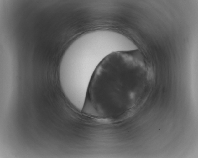 X0000112390363200908131348