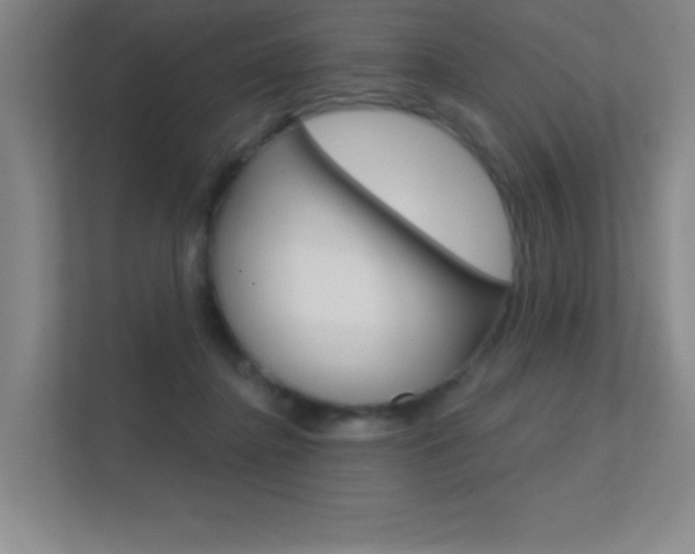 X0000112390364200908131348