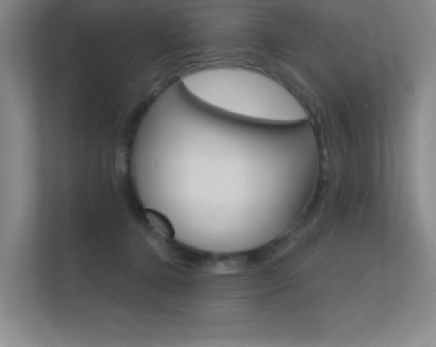 X0000112390368200908131349