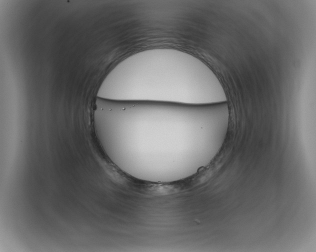 X0000112390379200908131349