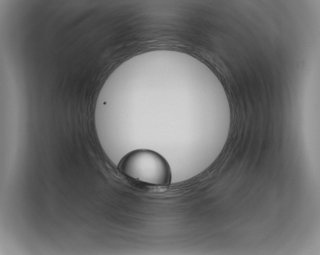 X0000112390380200908131349