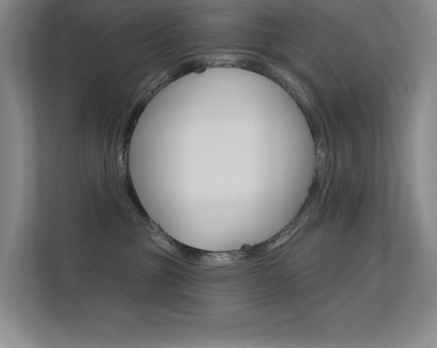 X0000112390381200908131349