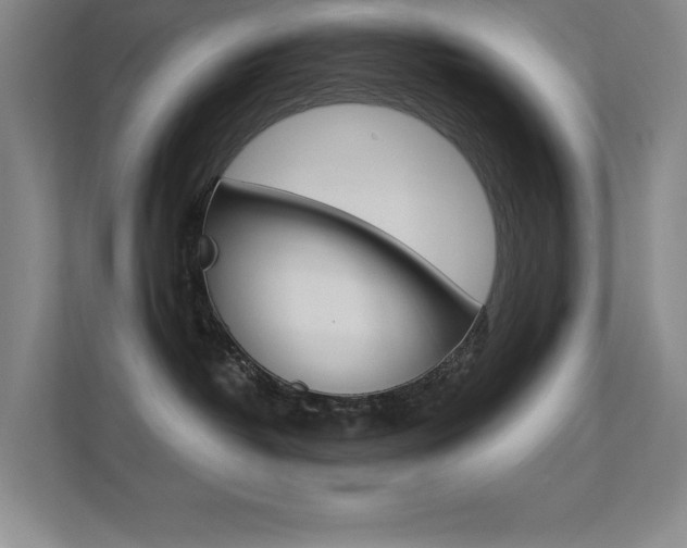 X0000112390382200908131349