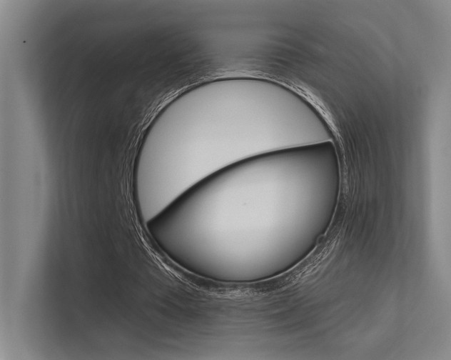 X0000112390385200908131348