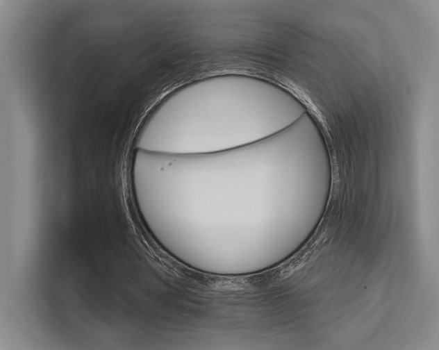 X0000112390386200908131348