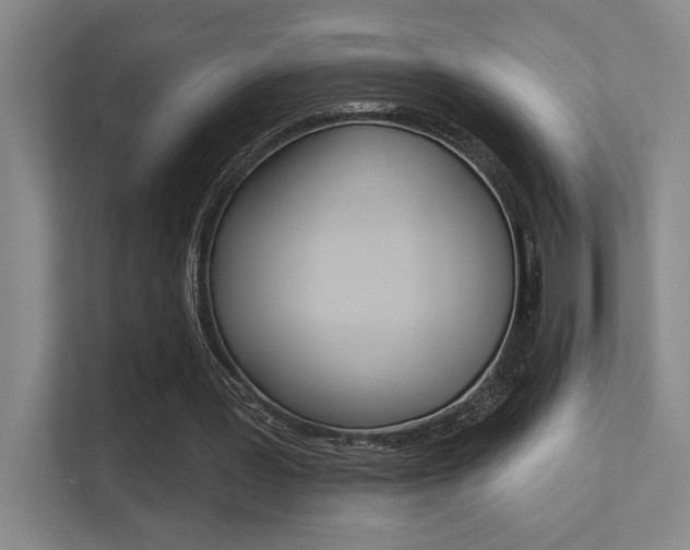 X0000112390387200908131348