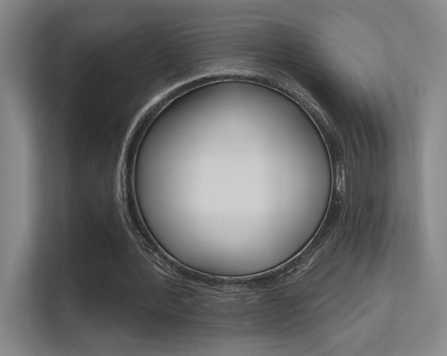 X0000112390388200908131348