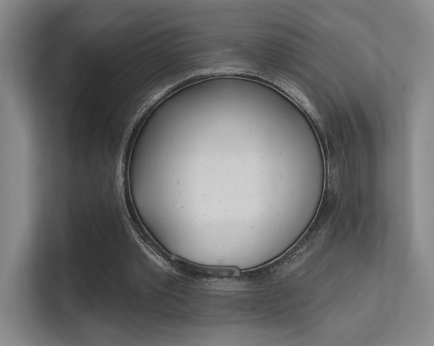 X0000112390389200908131348