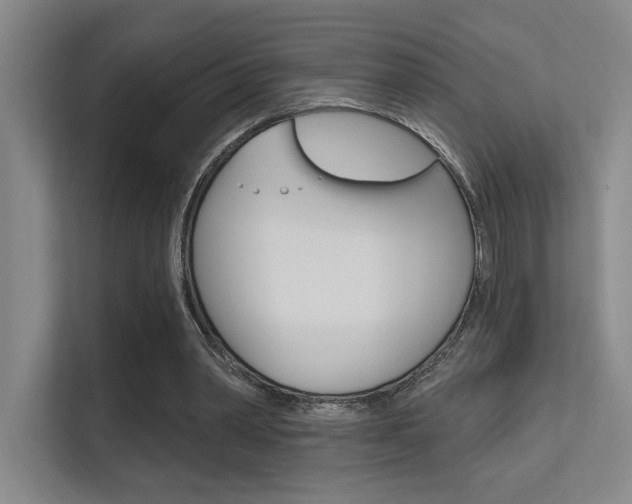 X0000112390390200908131348