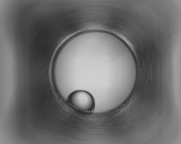 X0000112390391200908131348