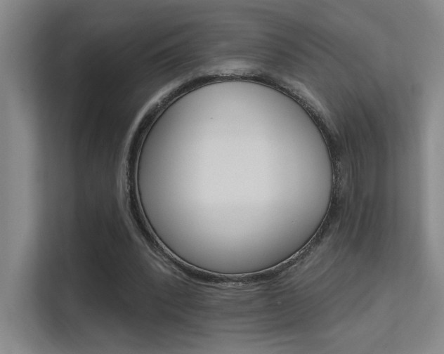 X0000112390392200908131348