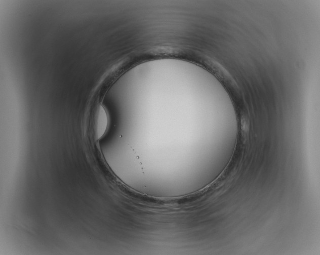 X0000112390396200908131348