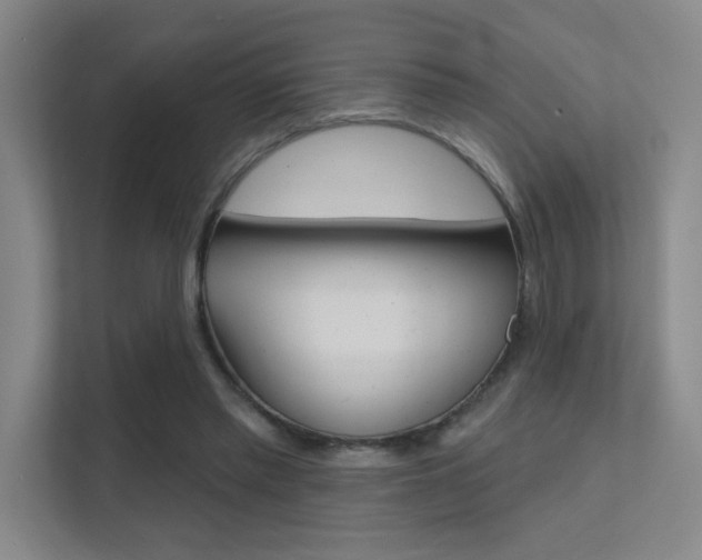 X0000112390397200908131348