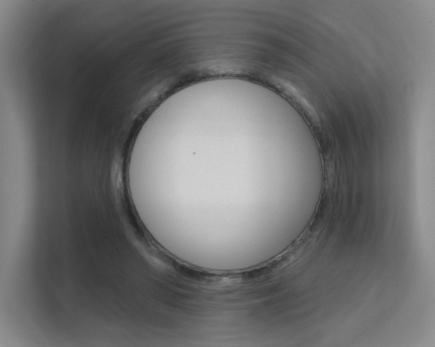 X0000112390398200908131348