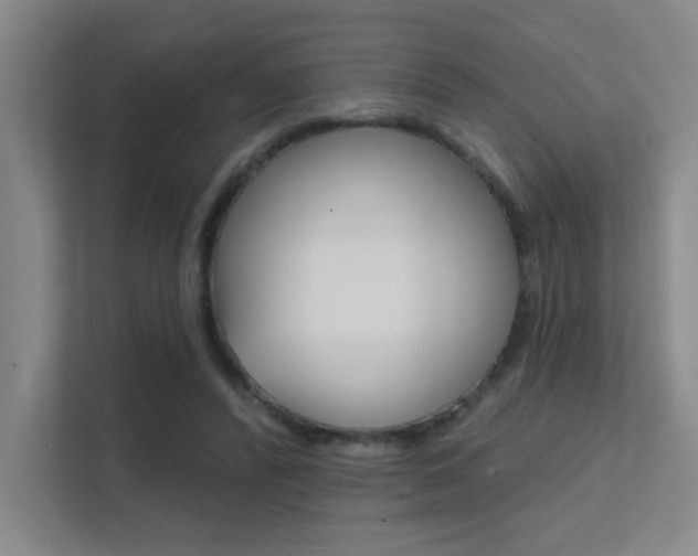 X0000112390400200908131348