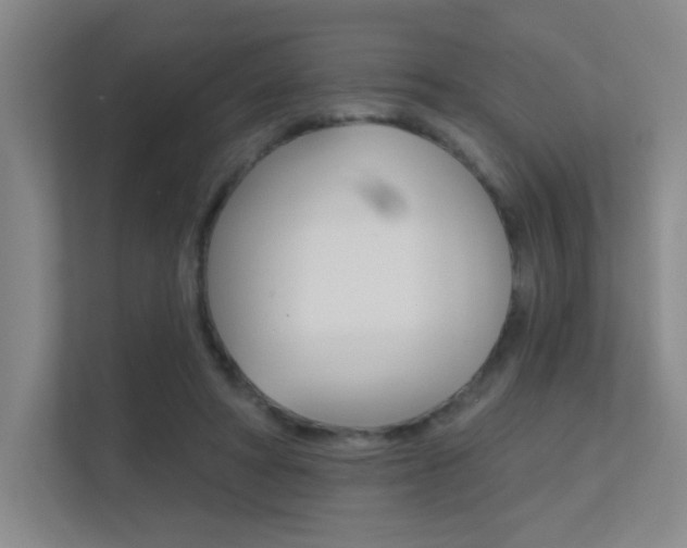 X0000112390402200908131348