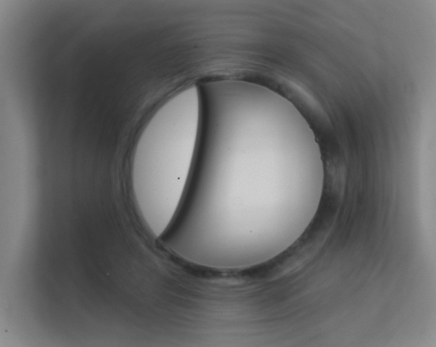 X0000112390404200908131348