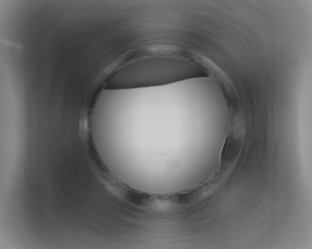 X0000112390405200908131348