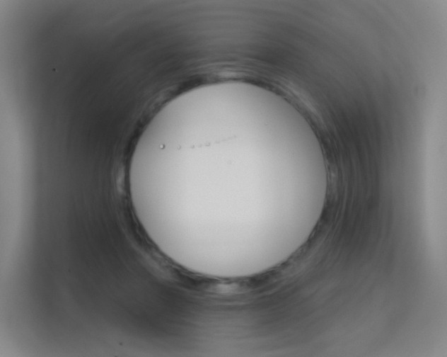 X0000112390406200908131348