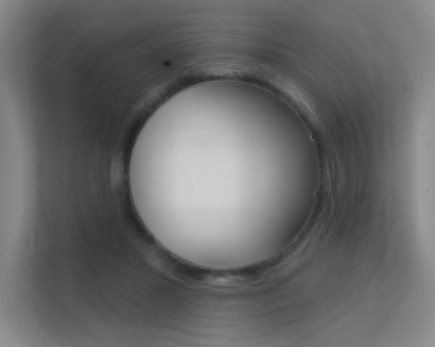 X0000112390407200908131348