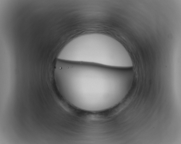 X0000112390408200908131348