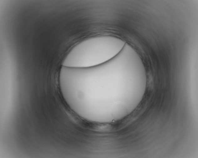 X0000112390410200908131348