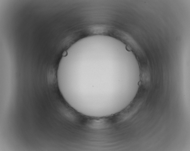 X0000112390411200908131348