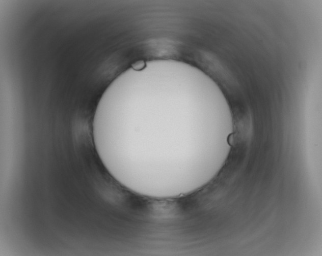 X0000112390415200908131348