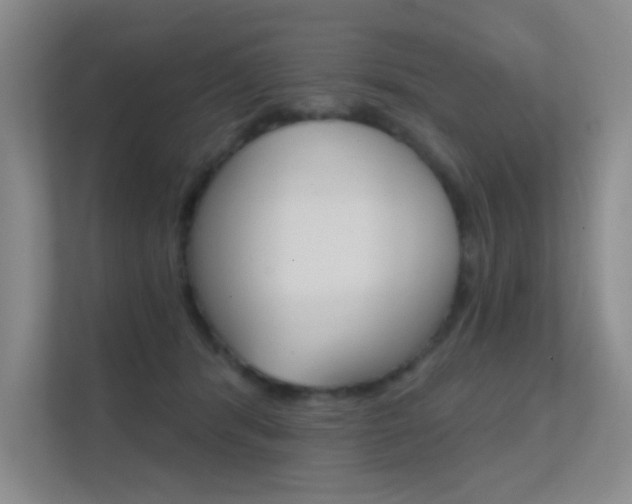 X0000112390416200908131348