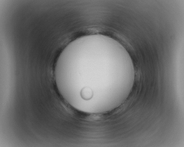 X0000112390418200908131348