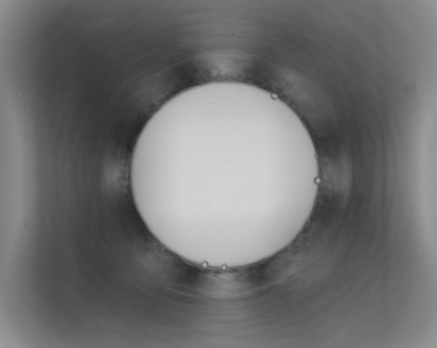 X0000112390419200908131348